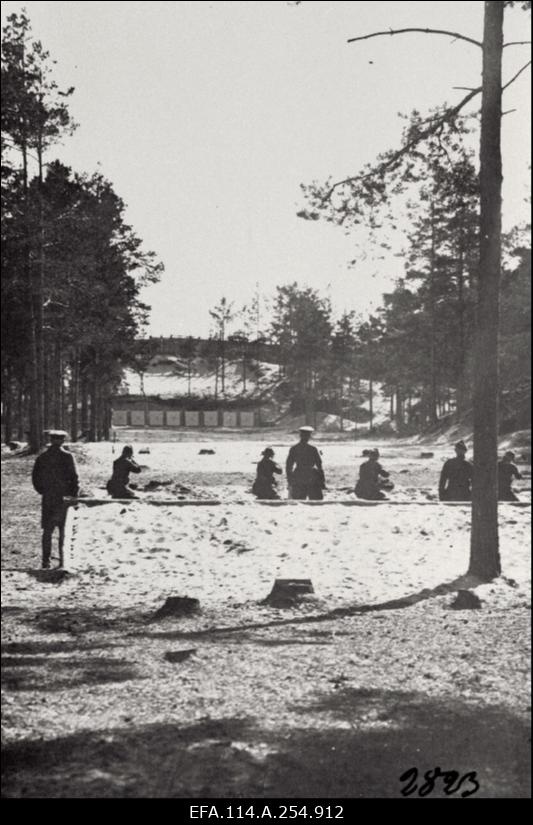 Vabadussõda. Õhu- ja merejõud, samuti soomustatud väeosad  lahingutegevuses. Välisriikide [Läti, USA, Soome, Inglismaa, Taani] laevad Tallinna sadamas. Soomusrongid nr. 1, nr. 5 ja nr. 4. Põhjapiirkonna Kommuunide Rahvakomissaride Nõukogu ja III Ülevenemaalise Tööliste Soldatite ja Talupoegade Saadikute Nõukogu fotod. Taani vabatahtlikud ja Soome ajakirjanikud Eestis. Välisriikide diplomaatide vastuvõtud 1920.a. alguses. Peeter I ausamba mahavõtmine.