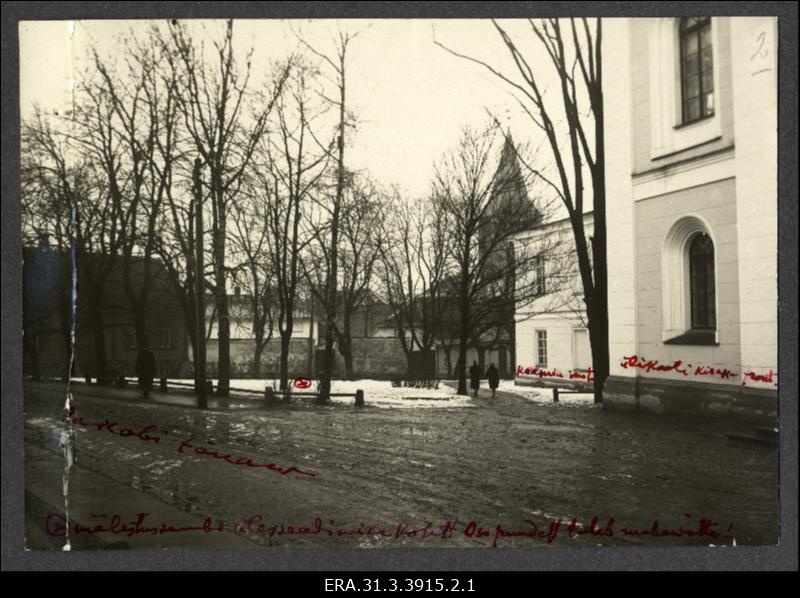 Tartu Ülikooli peahoone taga asuv haljasala, kuhu 1928. a püstitati kuningas Gustav Adolfi monument
