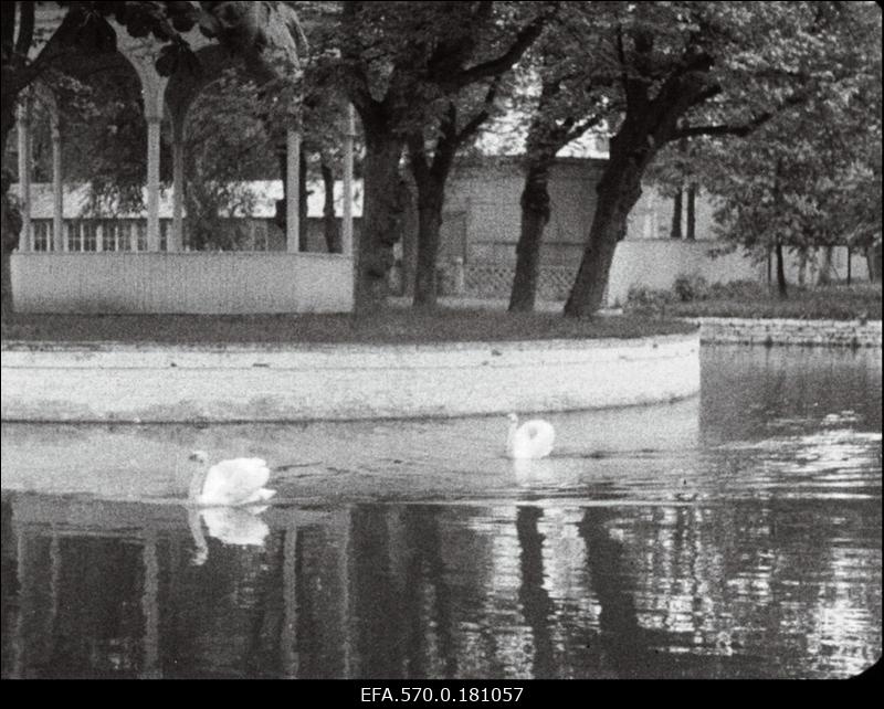 Luigetiik Kadriorus.