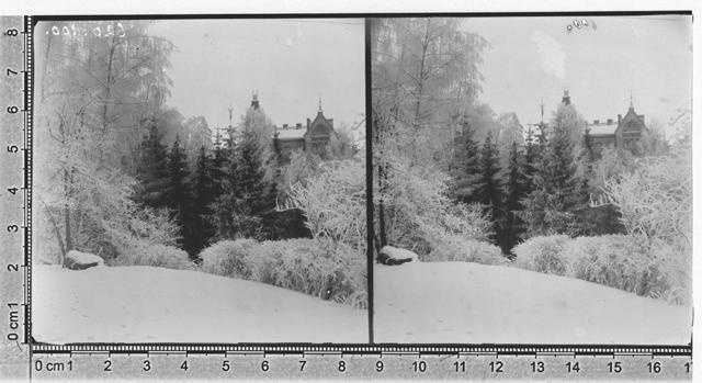 Toomemägi, Tartu 1900