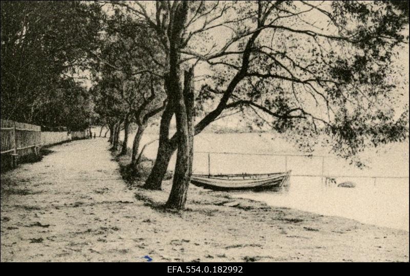 Vaikne puiestee.