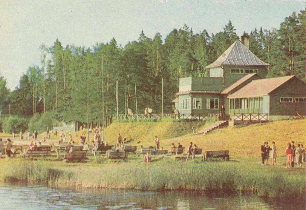 Elva ujula