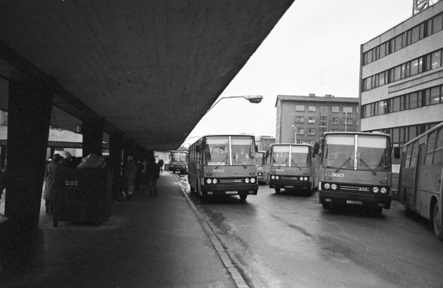 Uued "Ikarus" bussid Tallinnas.