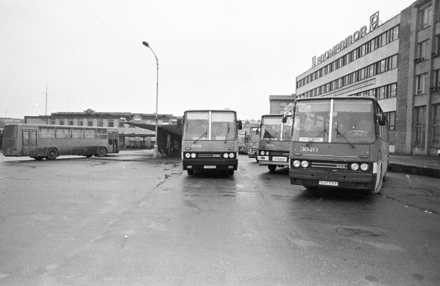 Uued "Ikarus" bussid Tallinnas.