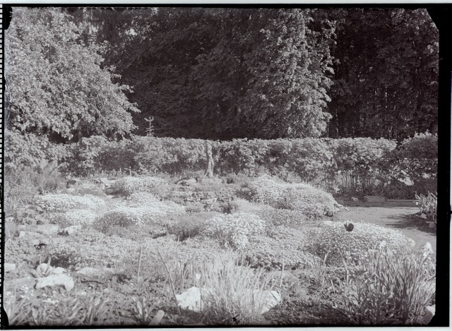 Rudolf Tamme iluaed Anton Starkopfi skulptuuriga