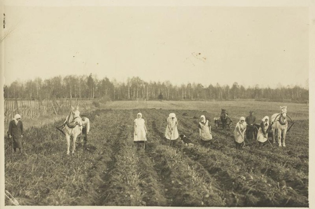 Uduvere kodumajanduskooli õpilased seltsimaja katselapilt kartuleid võtmas