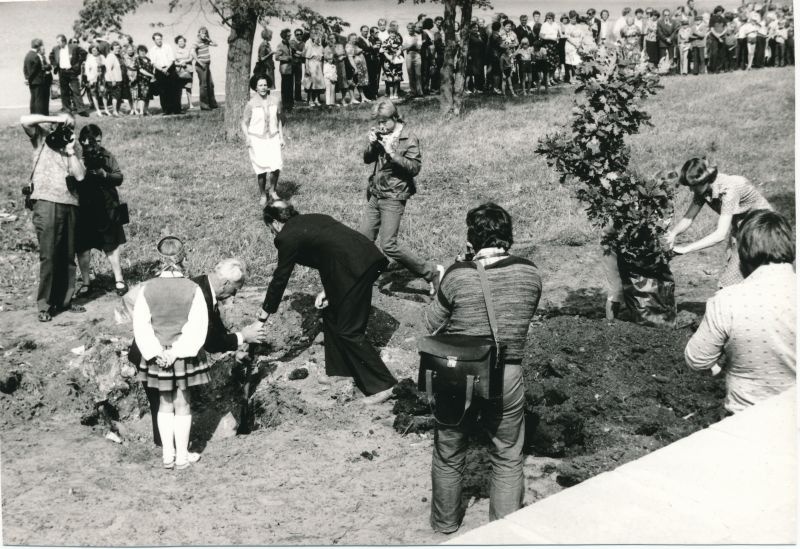 Foto. Tamme istutamine Haapsalu 700. juubeli puhul. Istutamas Leopold Kumel ja Lembitu Varblane. 1979.a.
Foto: Harles Pilter.