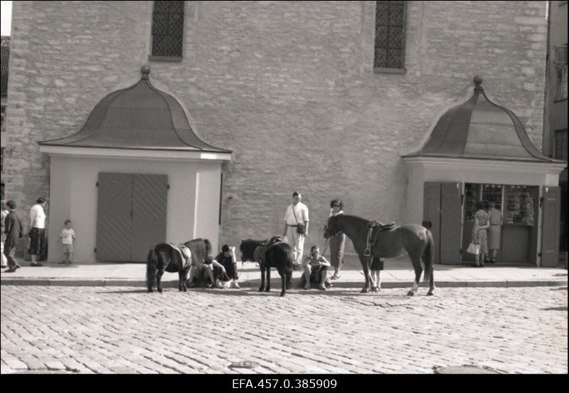 Hobune ja ponid Raekoja müügikioskide juures.
