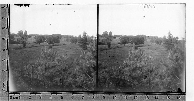 Haaslaava 1894 - 1905