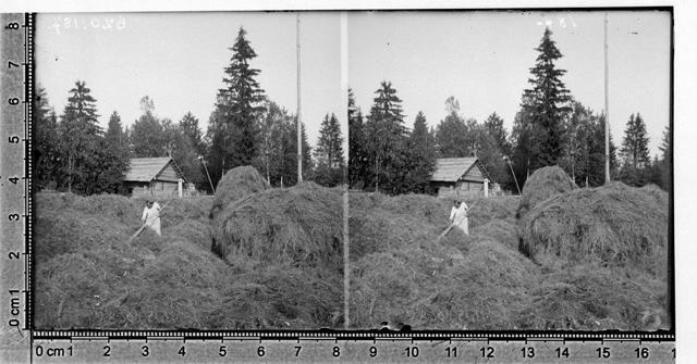 Heinategu, Haaslaava 1894 - 1905