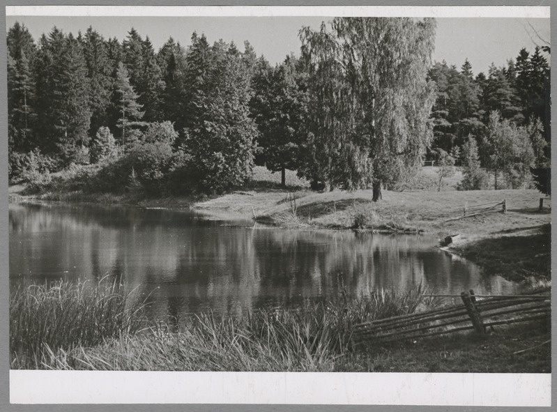 foto Viljandimaa Holstre Linajärv IX 1960 foto A. Kiisla
