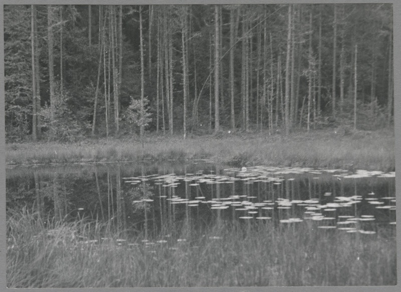 foto Viljandimaa, Nõiajärv 1964