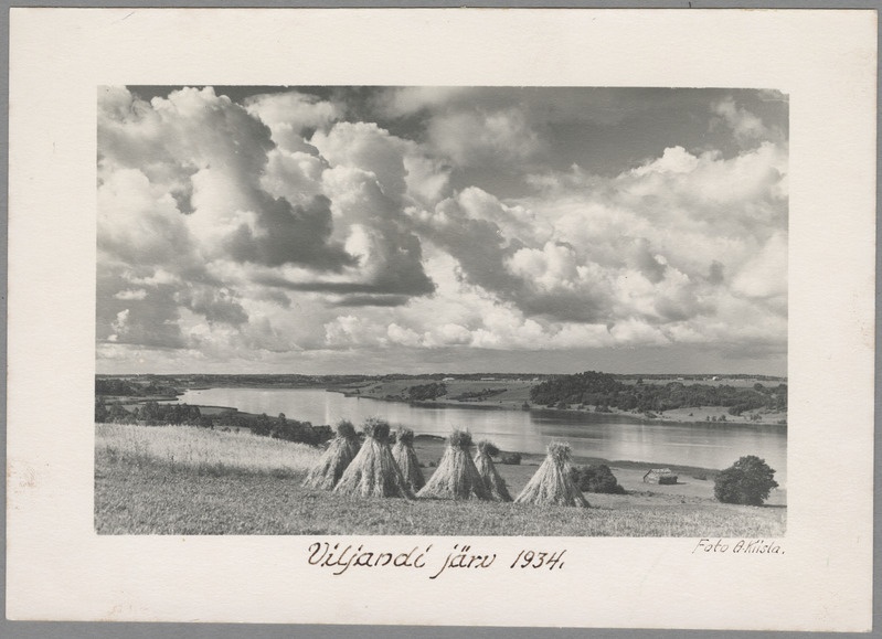 foto Viljandi järv ümbrusega, rukkihakid 1934 foto A. Kiisla