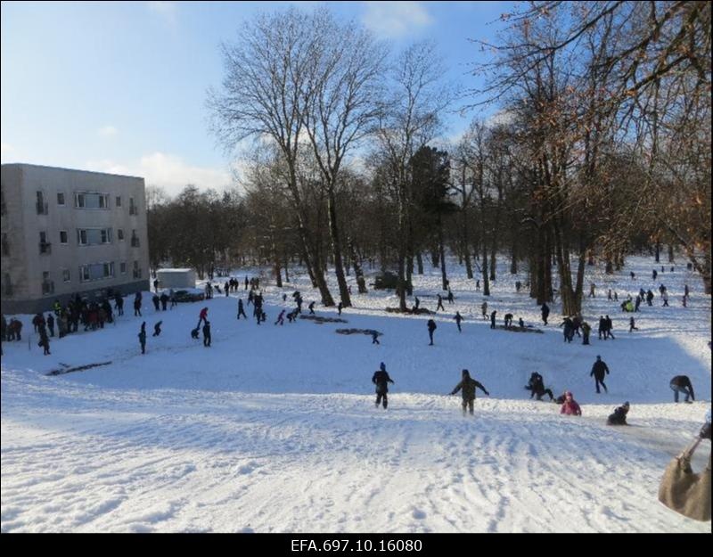 Taaslavastuslahing Viimsi mõisa pargis. Etendatakse Vabadussõja lahingut.