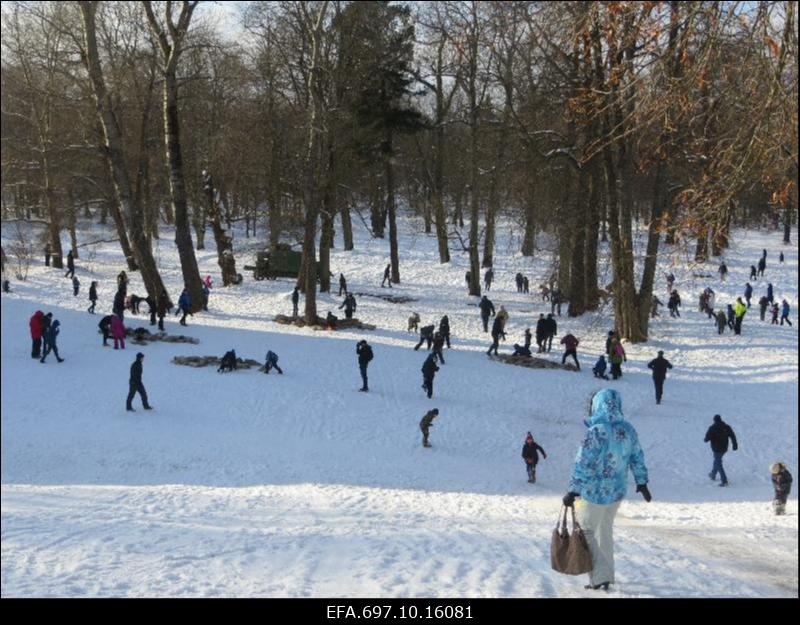 Taaslavastuslahing Viimsi mõisa pargis. Etendatakse Vabadussõja lahingut.
