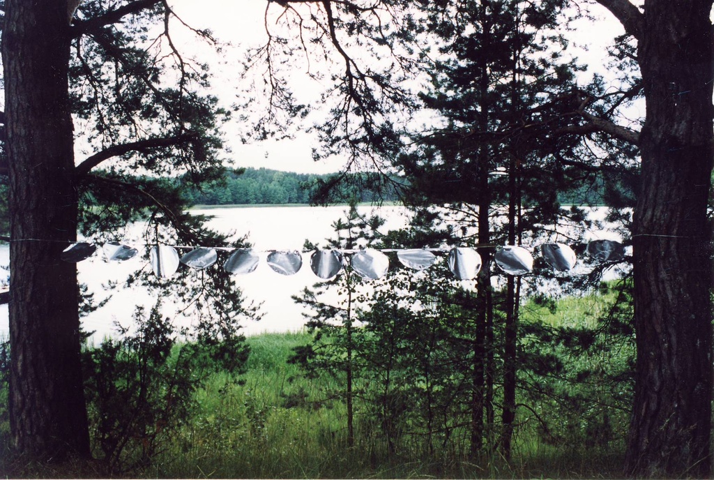 X Leelopäev.Leelopäeva kaunistus tee ääres.