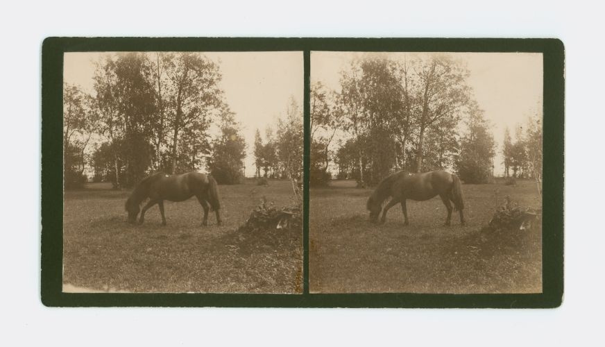 I'm telling you. Heinlands from the village on the eve