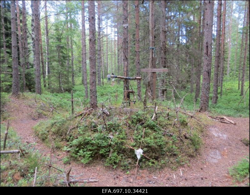 Hiiumaa. Ristimägi.