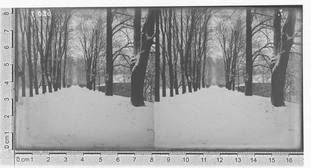 Toomemägi, Tartu 1902