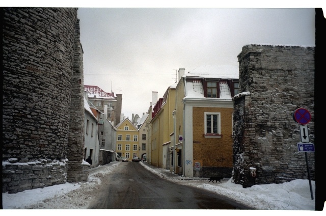 Suurtüki tänav Tallinna vanalinnas