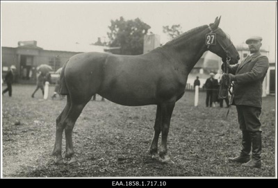 Hobune nr 27 koos hooldajaga põllumajanduslikul näitusel  duplicate photo