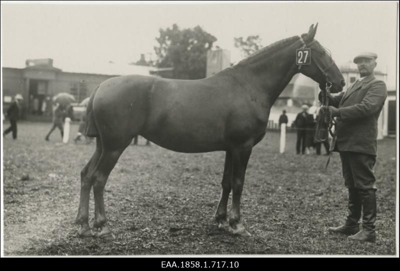 Hobune nr 27 koos hooldajaga põllumajanduslikul näitusel