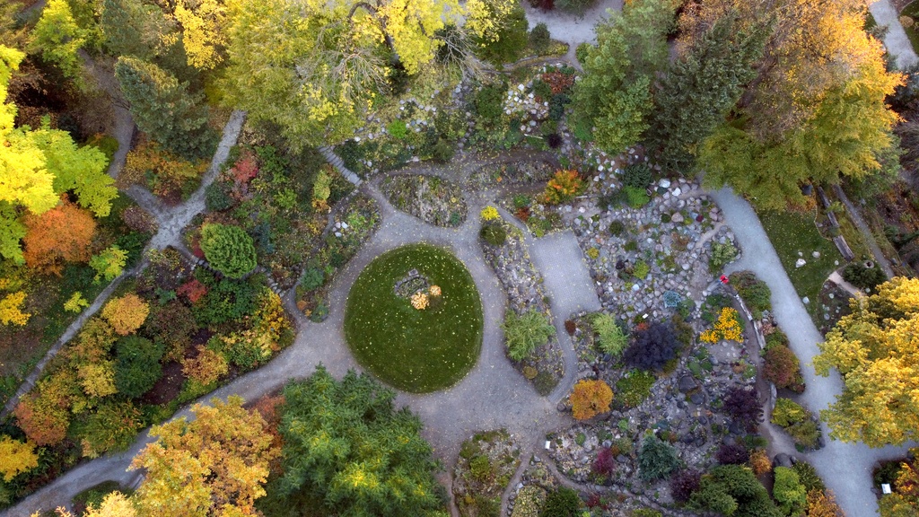 Aerial view of Tartu University Botanical Garden (0820)