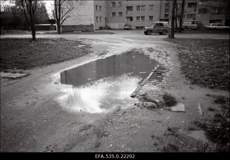 Augud Reinu teel.