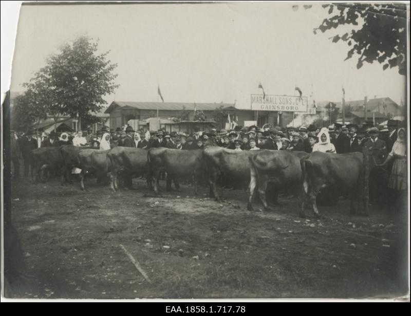 Lehmad põllumajandusnäitusel