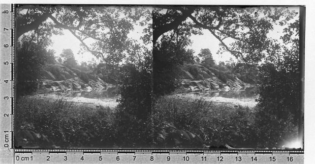 Haaslaava 1894 - 1905