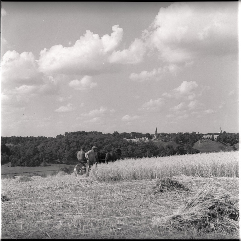 Viljalõikus põllul Viljandi järve ääres - taustal Viljandi linn