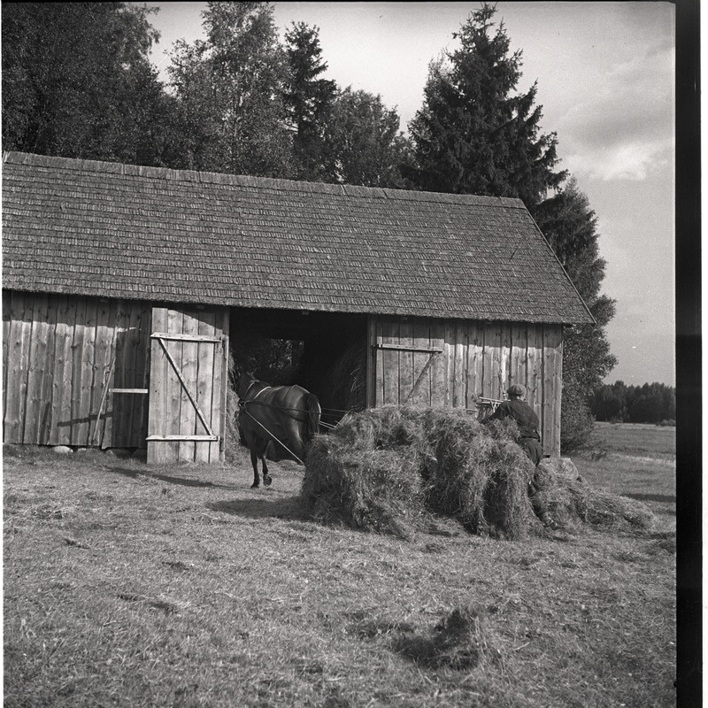 Heinte vedamine küüni