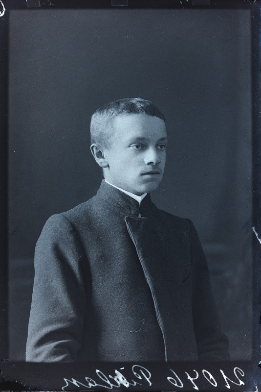 Pihlak.