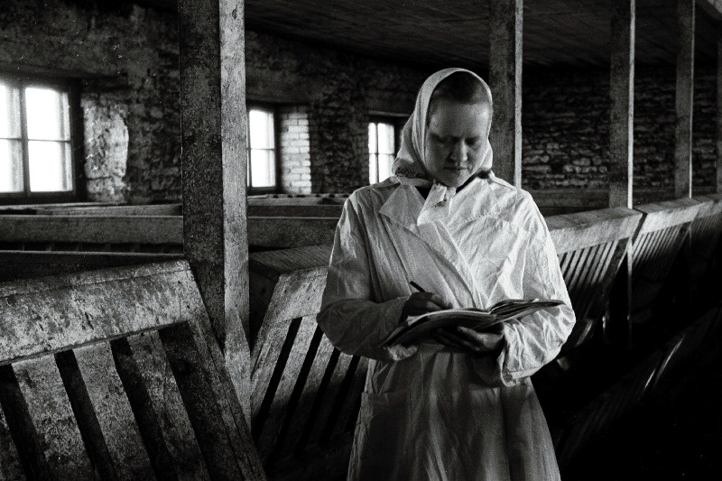 Kose rajooni Edu kolhoosi eesrindlik seatalitaja A. Kana.