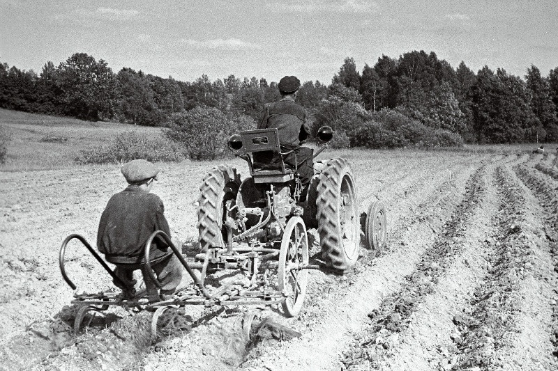 Viljandi traktorijaama traktorist Endel Kuus ja haakija Kalju Pärt kommunismi Tee kolhoosi seppade poolt valmistatud vaheltharimiskultivaatoriga kartulipõldu harimas.