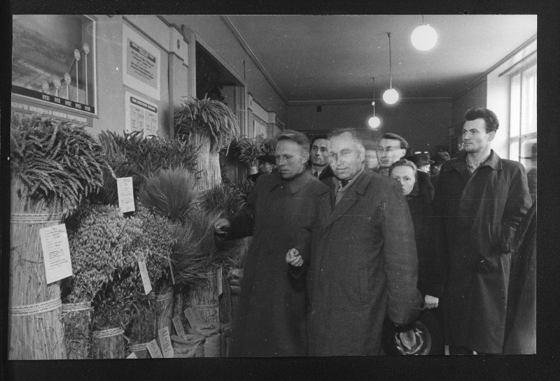 Läti NSV Cesise rajooni Sarkanais Oktoobris kolhoosi esimees M. Denissov (paremal) koos Türi rajooni Stalini nimelise kolhoosi agronoomi O. Ilusaga tutvumas väljapanekutega vabariigi põllumajandusnäitusel.
