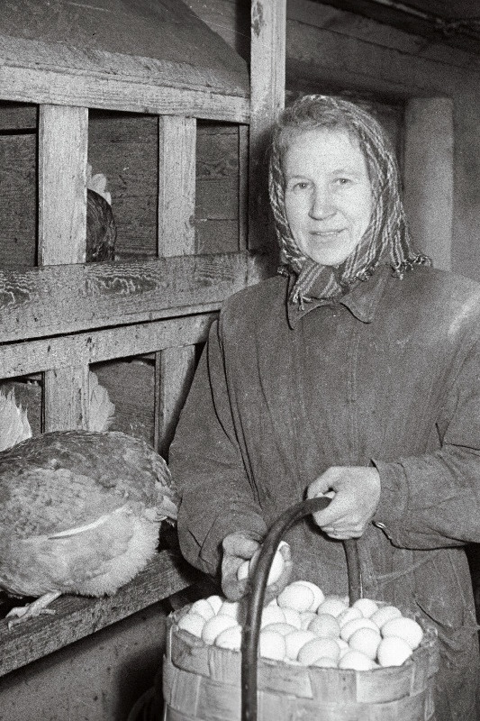 Rakvere rajooni Roela sovhoosi kanatalitaja Emilie Kurg.