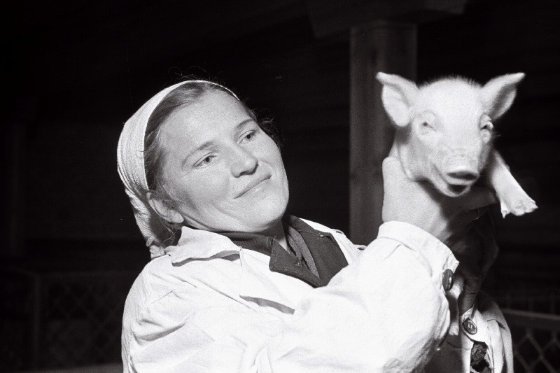 Väike-Maarja rajooni Uue Elu kolhoosi emisetalitaja Magda Kalasnikova.