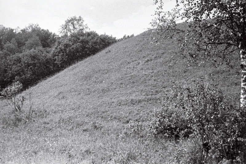 Lõhavere linnamägi Suure-Jaani lähedal.