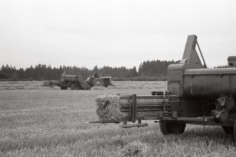 Gagarini nimelises sovhoosis kombaini põhukogumine traktorite järele haagitud kogujate-presside PPV-1,6 abil.