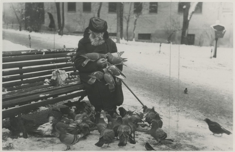 Jüri Jänes Barclay platsil Ühisabist saadud lõunaga tuvisid söötmas