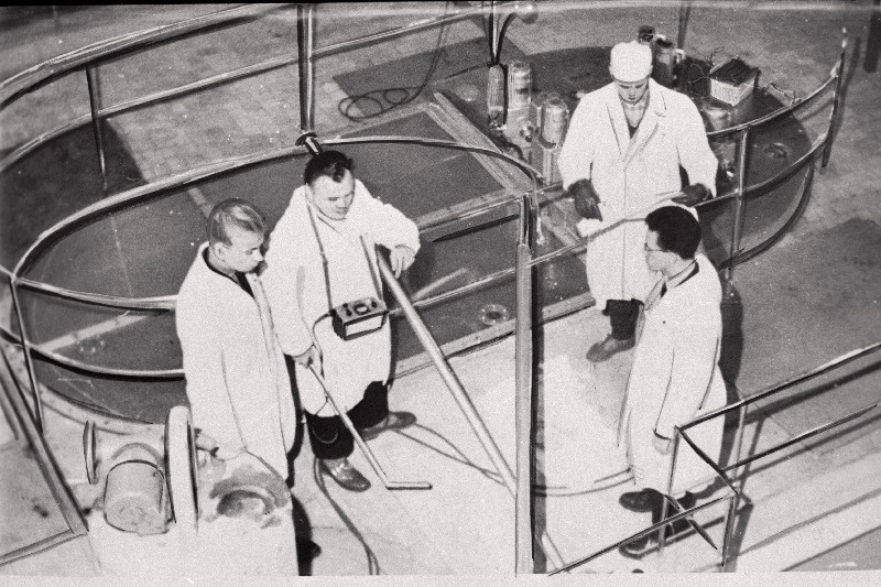 Läti NSV-s, Salaspilsis asuva aatomikatla juures vestlevad Eesti NSV Teaduste Akadeemia Füüüsika ja Astronoomia Instituudi nooremad teaduslikud töötajad Mart Elango (vasakult esimene) ja Viktor Denks (paremal esiplaanil) reaktorit teenindava personaliga.