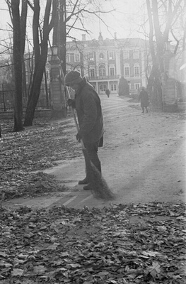 Lehtede koristus Kadriorus.  similar photo