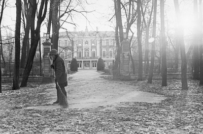 Lehtede koristus Kadriorus.  similar photo