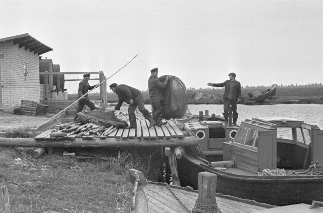 Piirissaar. Mehed kalale minemas.