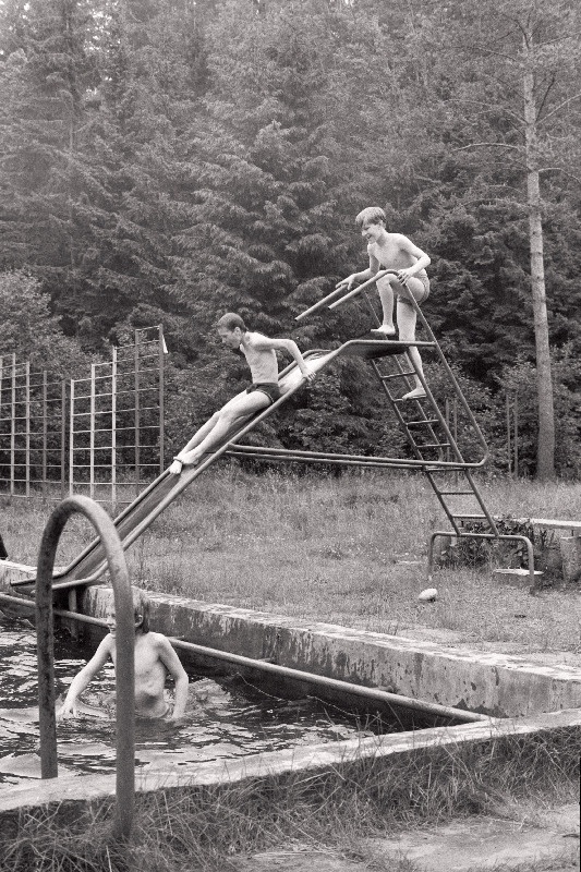 Valgemetsa pioneerilaager