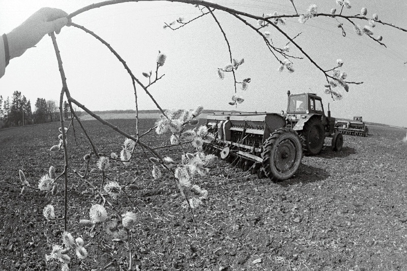 Kevadkülv Harju rajooni Ranna sovhoosis.