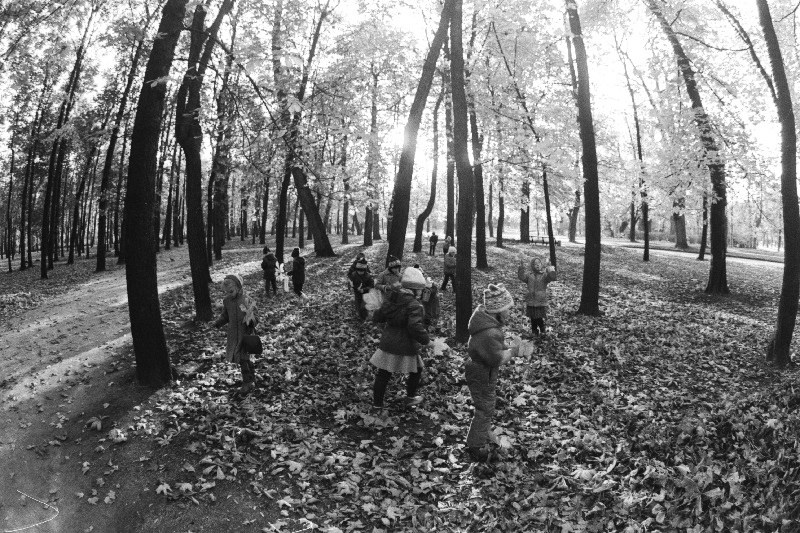 Kadrioru pargi vaade.