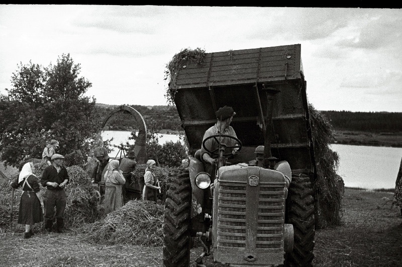 Silo valmistamine Võidu kolhoosis.