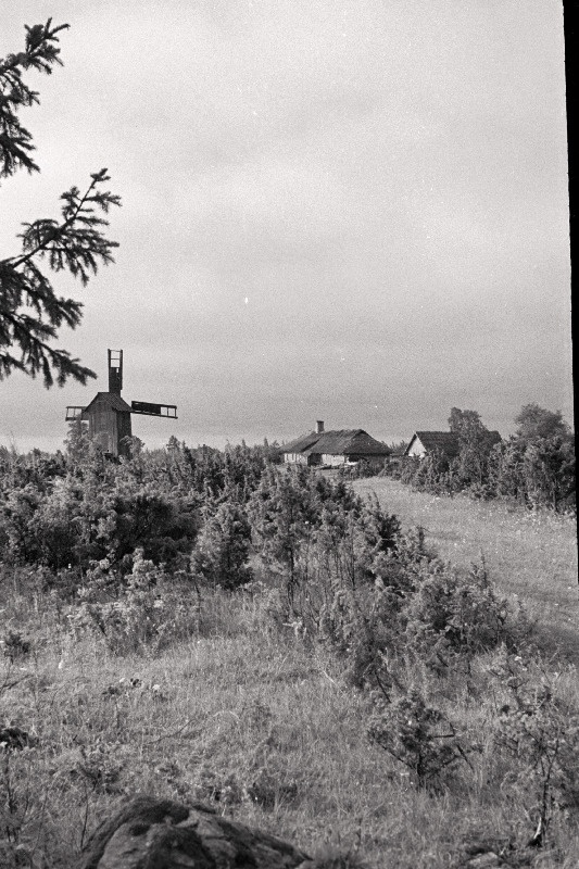 Hiiumaa maastik tuulikuga.